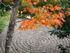 根来寺 庭園