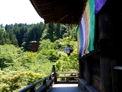 初夏長谷寺