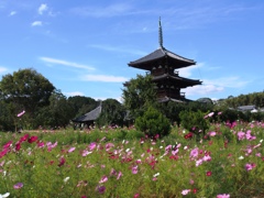 法起寺