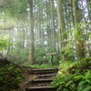 朝日差す登山道