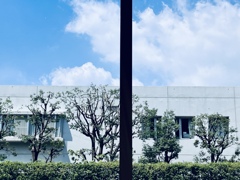 真夏の一コマ
