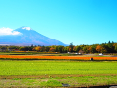 Mt 富士