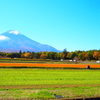 Mt 富士