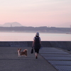 お蔵出し：夏の散歩２