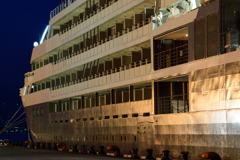 L'AUSTRAL