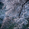 黎明