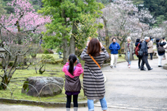 親子でポン！