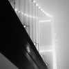 Misty night