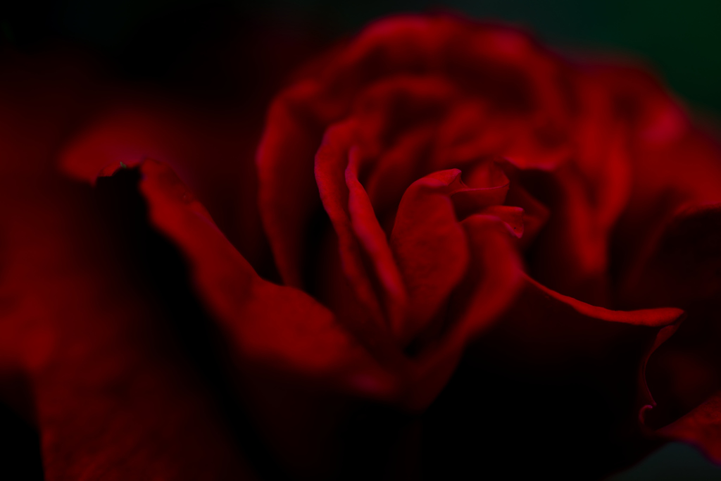 Rouge