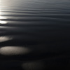 砂浜
