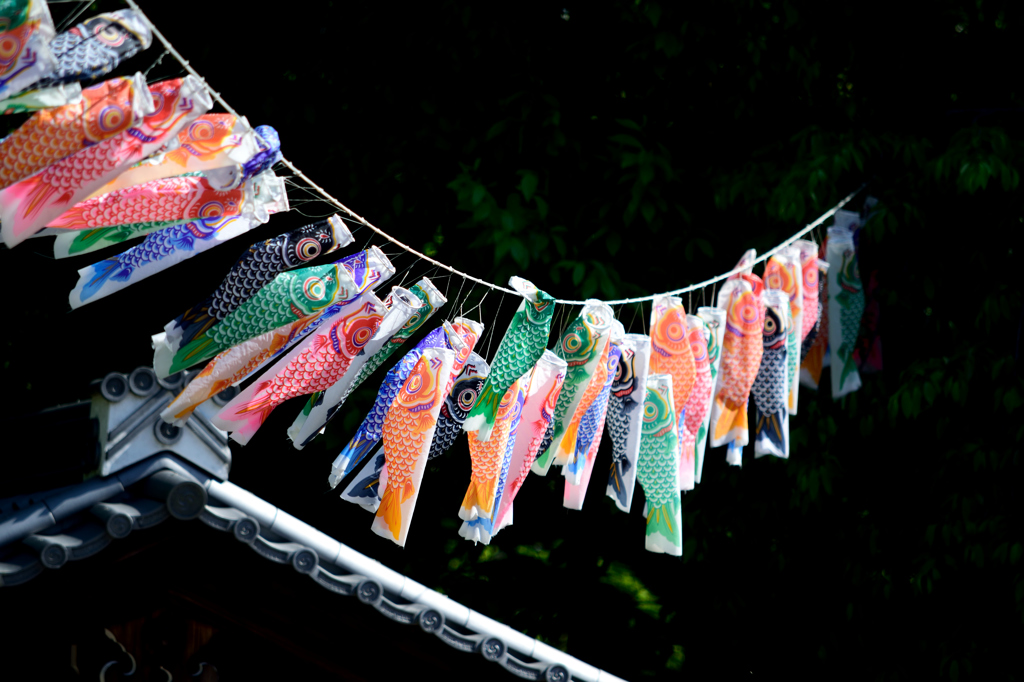 八坂神社～こどもの日　２