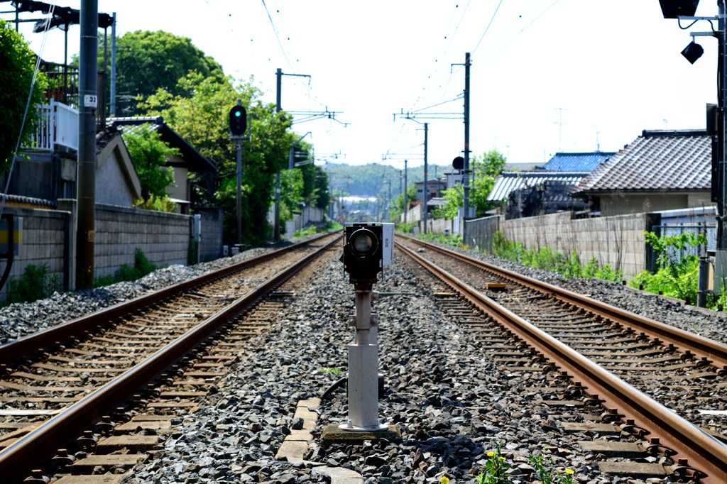 見つめる？