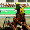 お蔵出し：ハープスター、札幌競馬場で大いに暴れる