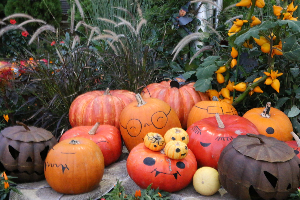 ハッピーハロウィン☆