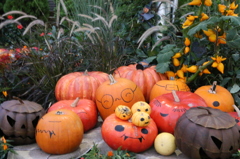 ハッピーハロウィン☆