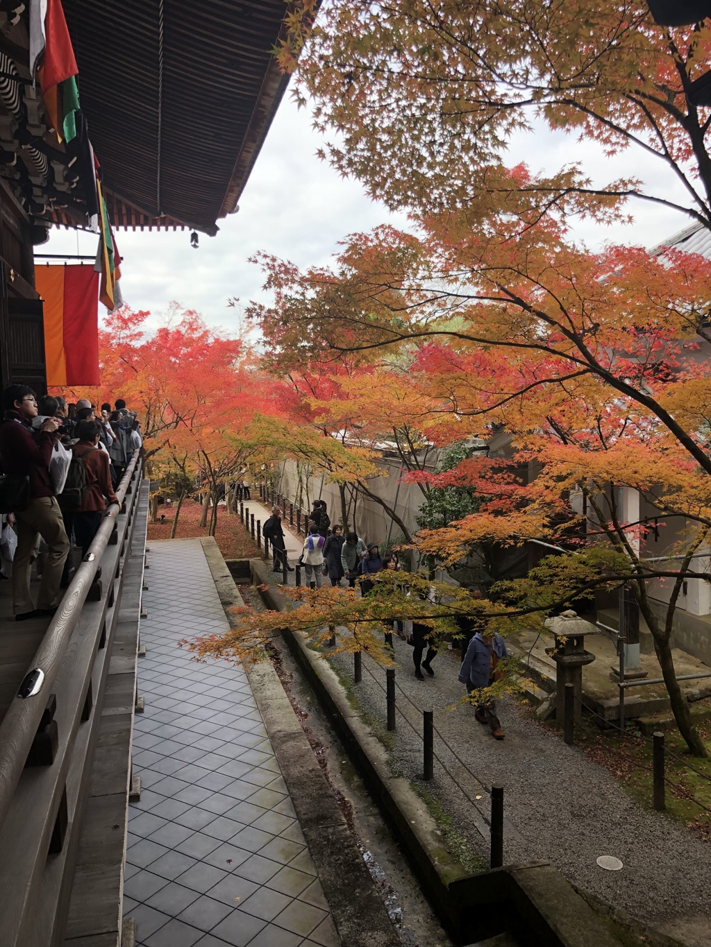 BE9666B6-C56F-4505-9B0C-185F7B0D4F03