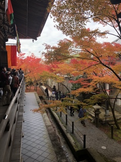 BE9666B6-C56F-4505-9B0C-185F7B0D4F03