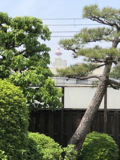 隙間からのタワー