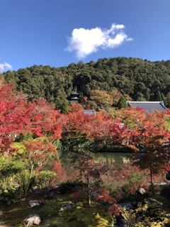 94BD6D49-407B-42AE-85A1-19D2360E012C