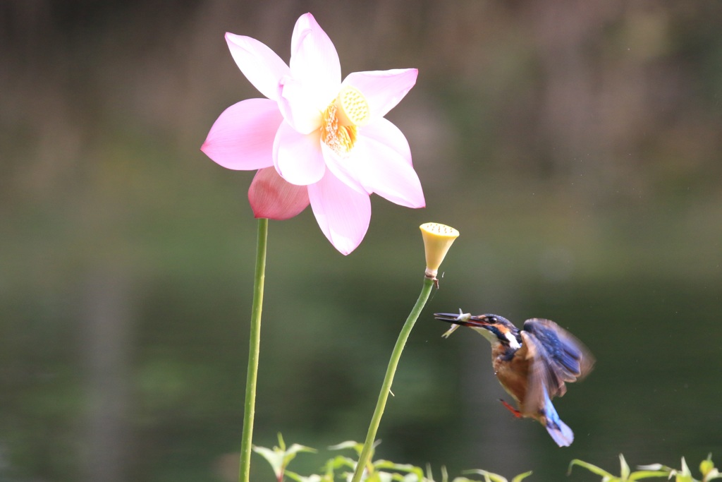８月１８日　６