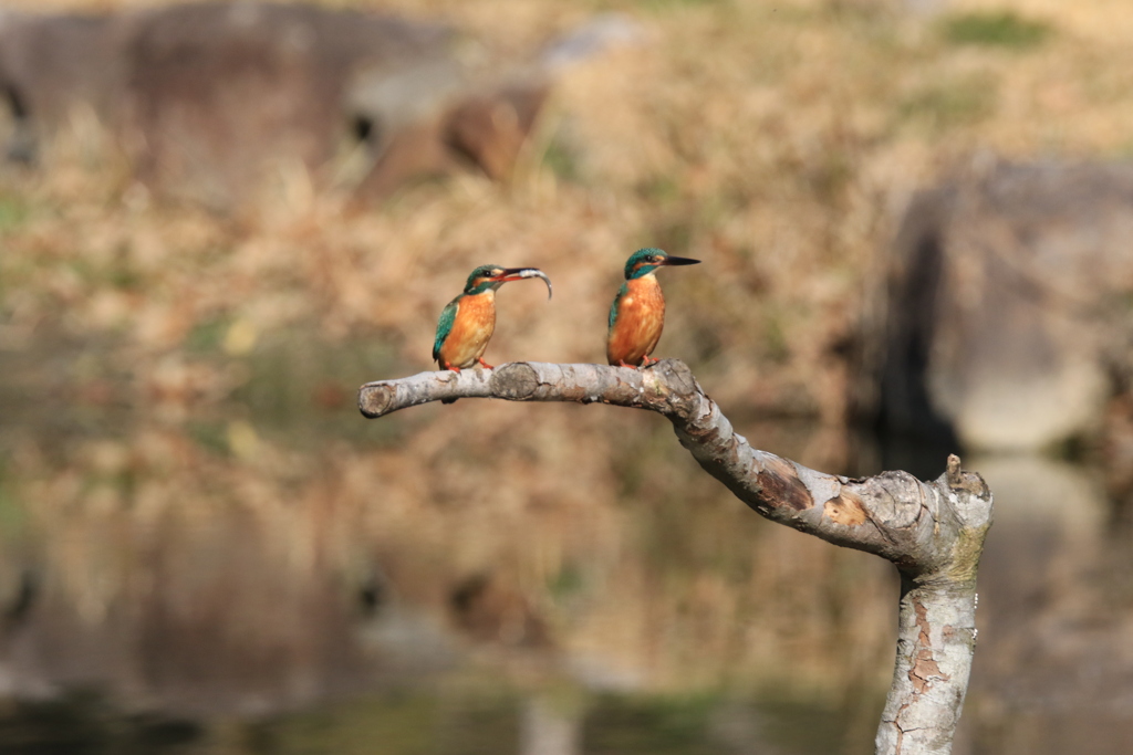 あいてにされず
