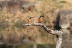 あいてにされず