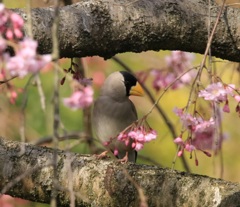 160402 蔵出し　１３