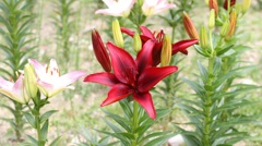 ２０１００５２９