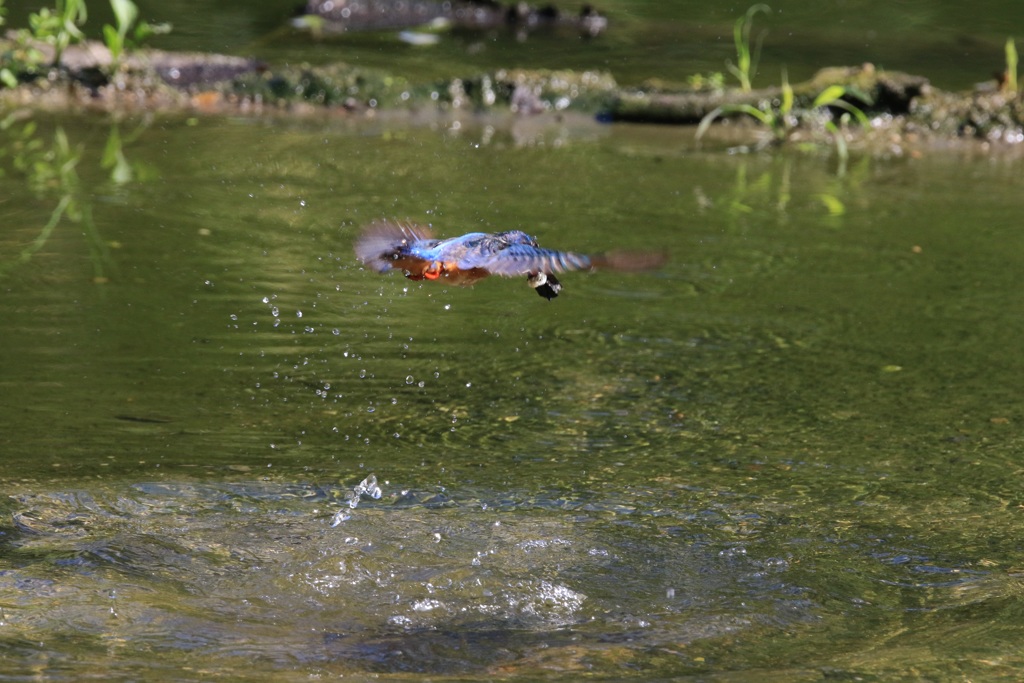 水平飛行