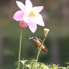 16/08-18　ちょつとだけ、、、、