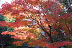 D18B1293-0740-4237-B486-44D31861DDCC