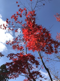 859B675E-5F37-4CD3-A4DF-2C80457F299E