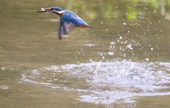 久しぶりの、、、、