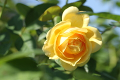 ｓ・２４．１０．２０