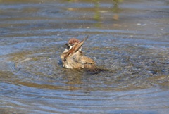 恥ずかしいから撮らないで～