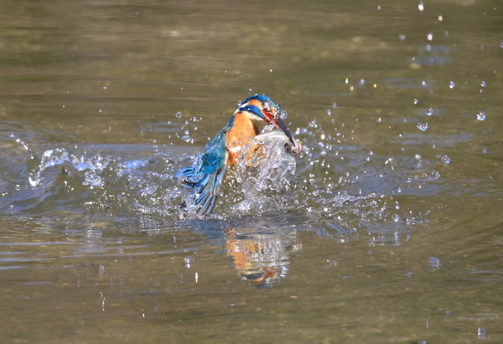160326 蔵出し　２４