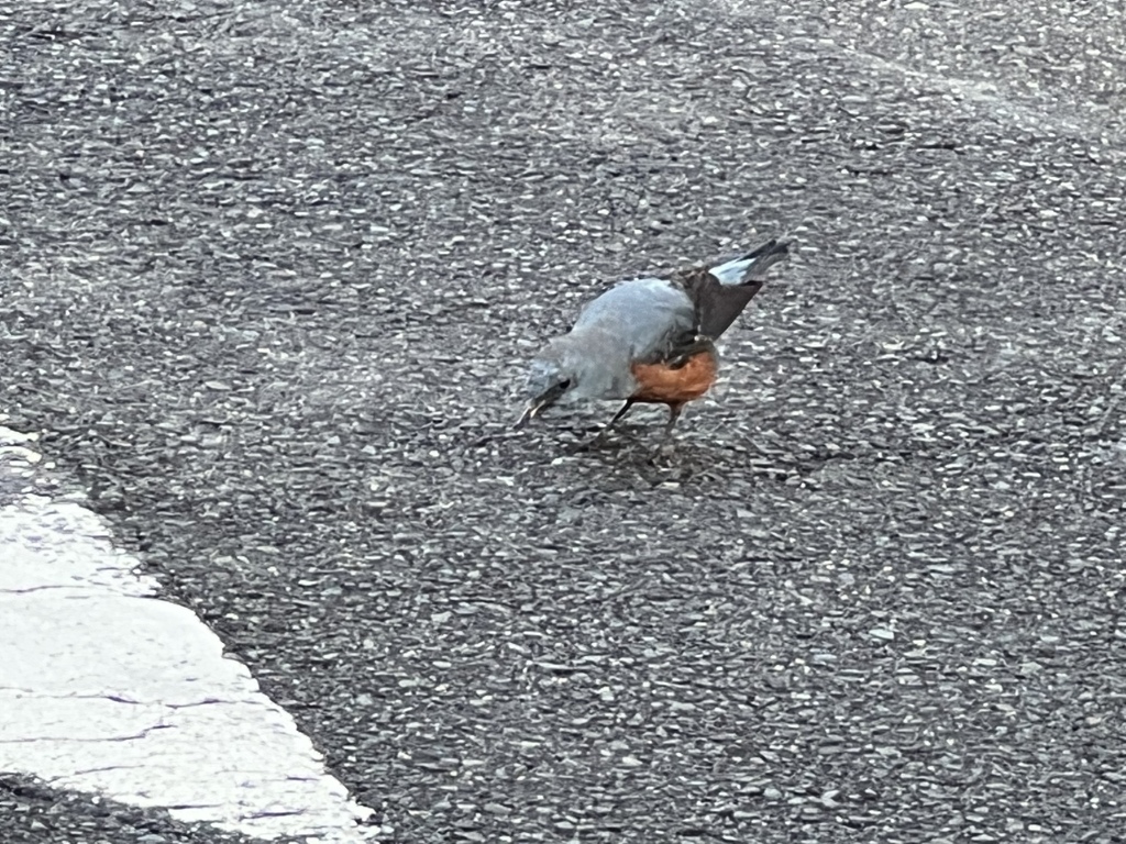 4DA66C3C-10DA-4A12-B38D-6B6DCCF0D509