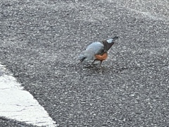 4DA66C3C-10DA-4A12-B38D-6B6DCCF0D509