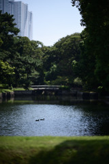 浜離宮恩賜庭園