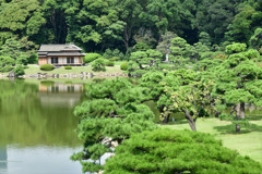 浜離宮恩賜庭園