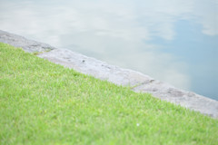 浜離宮恩賜庭園