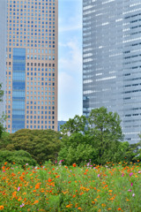 浜離宮恩賜庭園