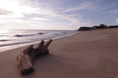 知多小野浦海岸