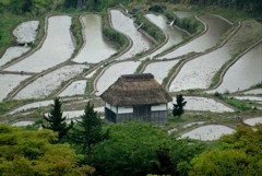 棚田の有る風景