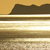 黄金色の海