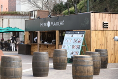 3月20日 布引ハーブ園 17