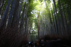 11月23日 京都 45