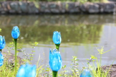 8月14日 安曇野アートヒルズ・ミュージアム ２
