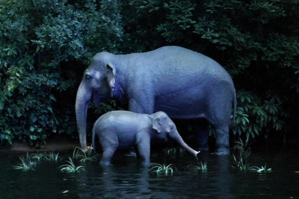 4月18日 東京ディズニー・ランド 42