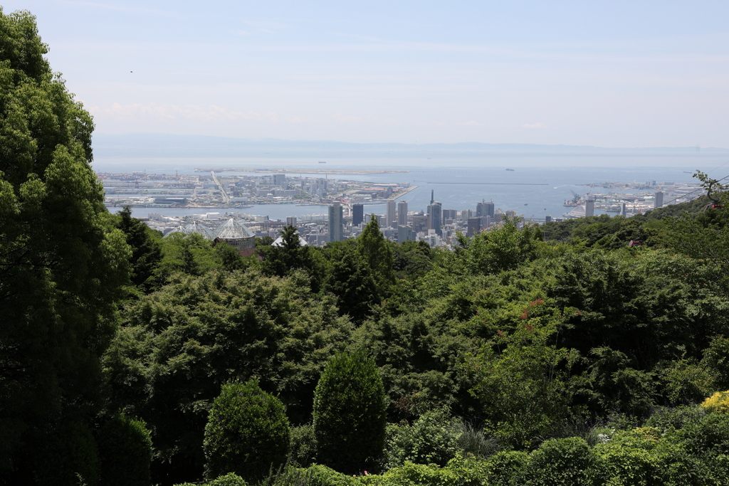 6月9日 布引ハーブ園 23